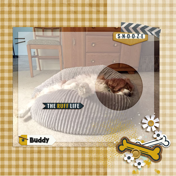 MOC 8 - Day 15 - Buddy