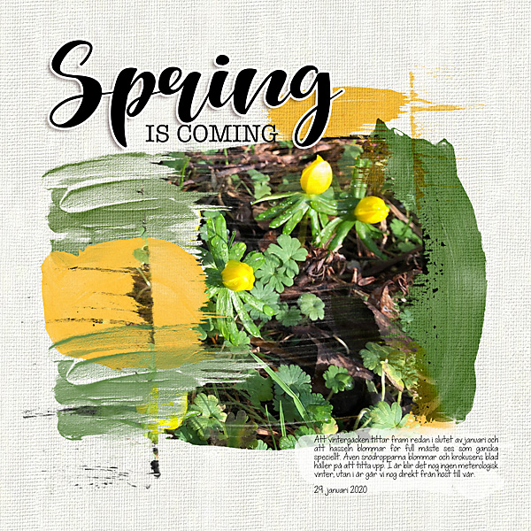 Moc 8 day 27 Spring is coming