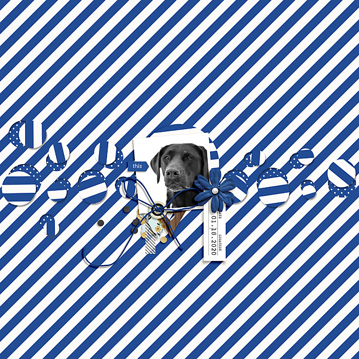 MOC 8 Jan 19 Cut Out Background