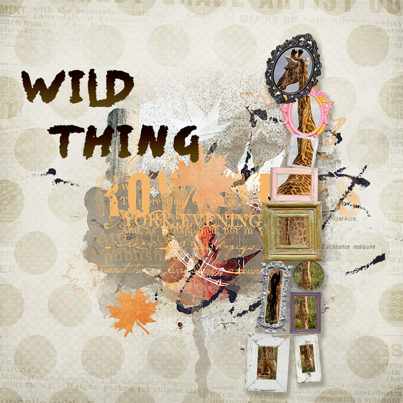 MOC 8 January 3 - Crazy number of frames - WILD THING