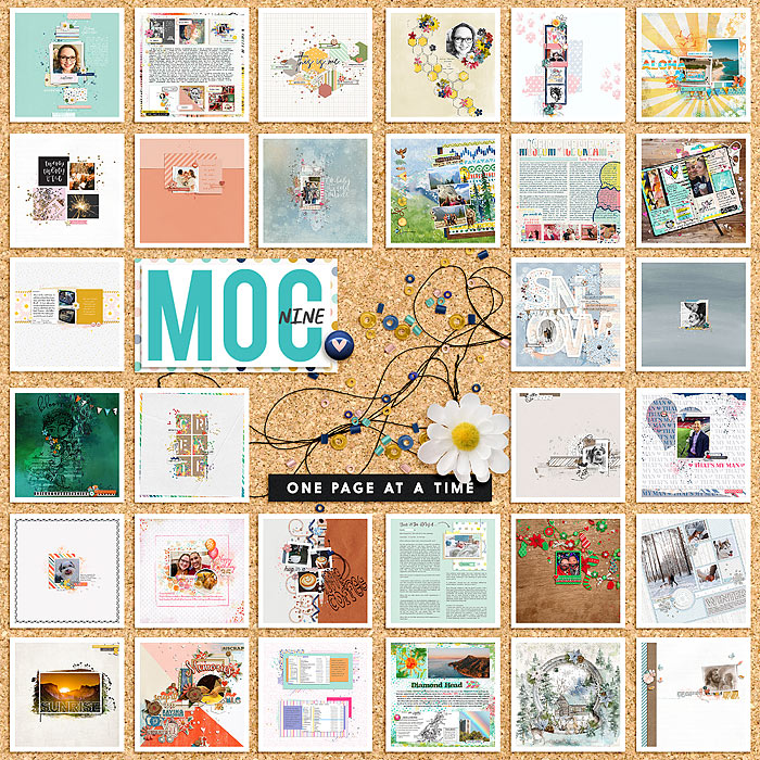 MOC 9 Collage