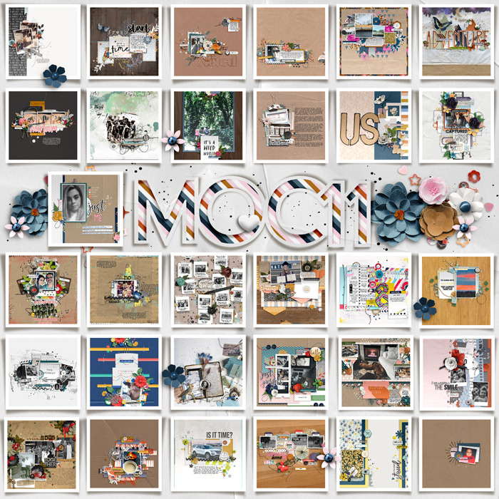 MOC Collage