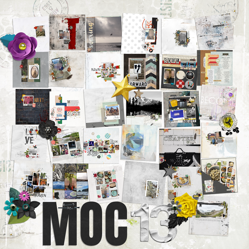 MOC Collage