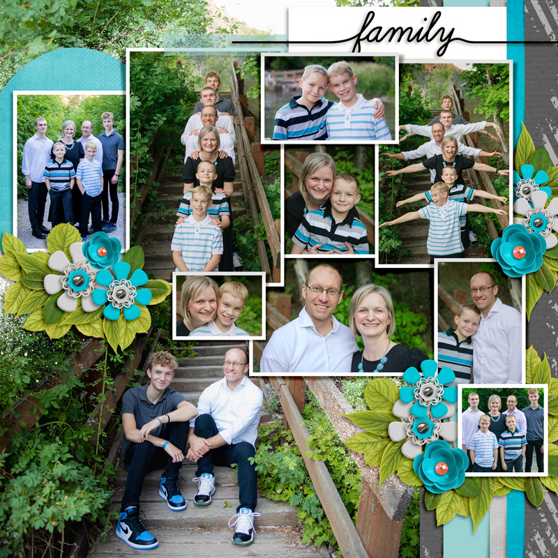 MOC D12 Family