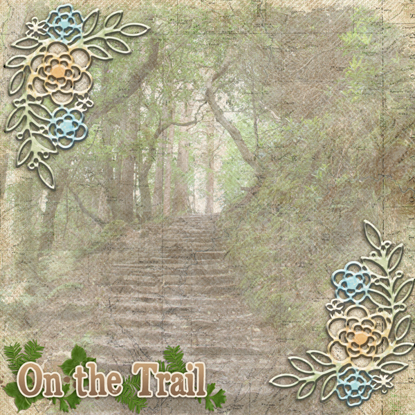MOC-D30 On the Trail