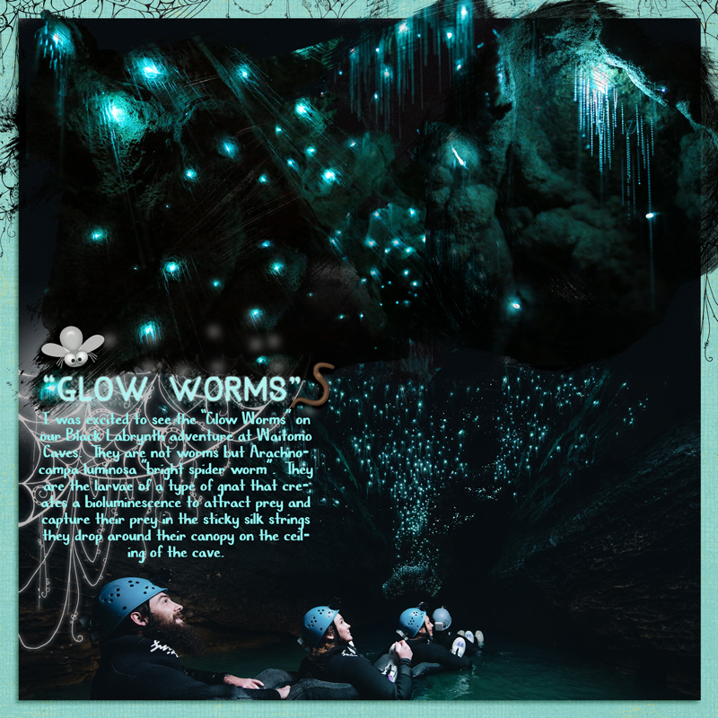 MOC-D4 Glow Worms