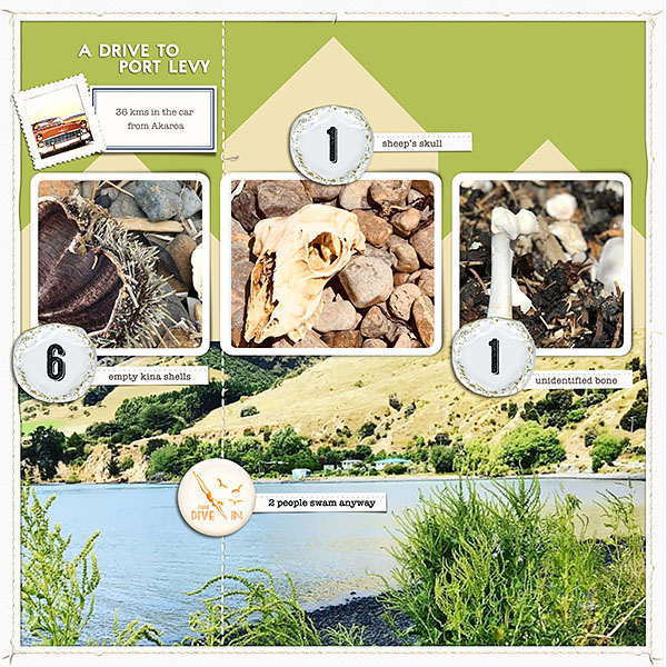 MOC day 13: Port Levy by numbers