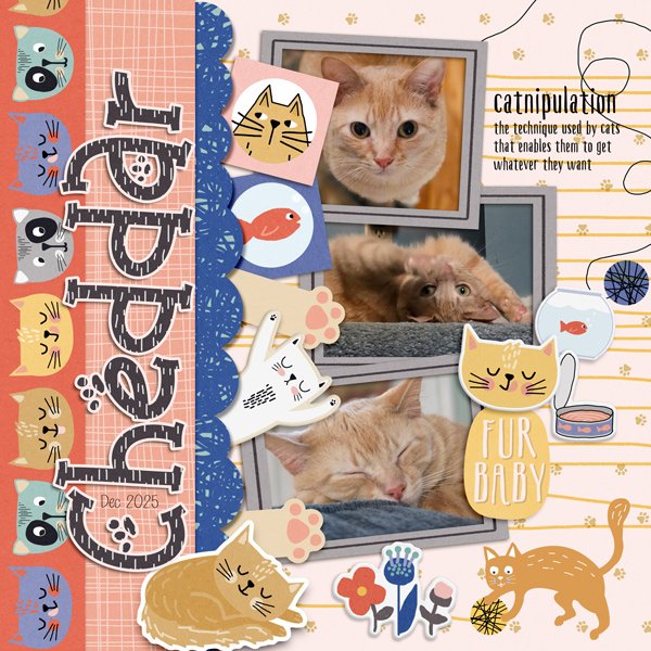 MOC Day 3 - Side or Vertical Title (Cheddar)