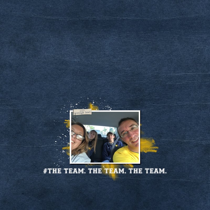 MOC Day 9 - The Team
