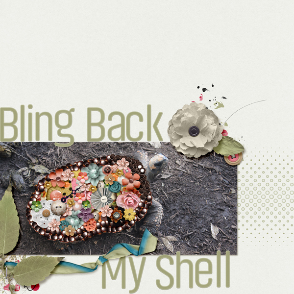 MOC10_28 Bling Back My Shell