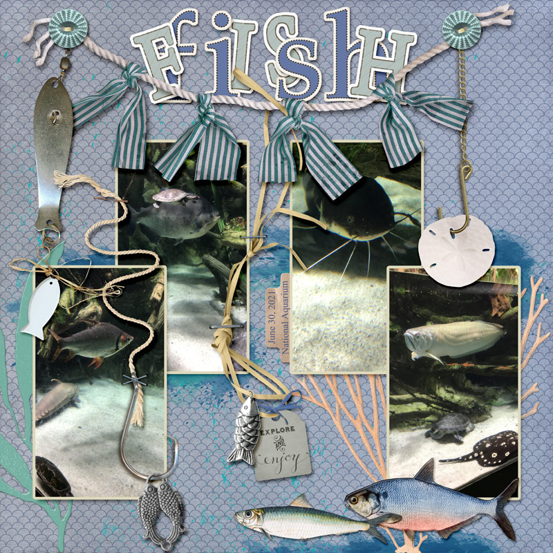 MOC10_3 Fish