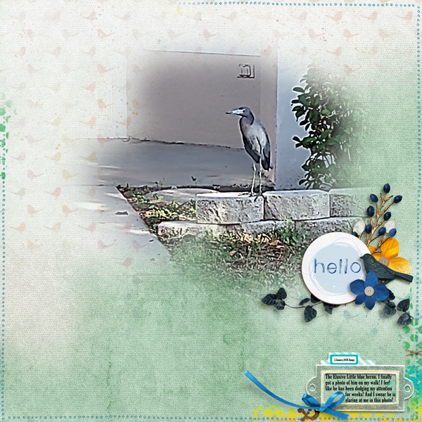 MOC10_D4_Hello Little Blue Heron
