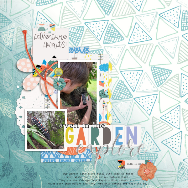MOC11-18 2022-12-21_GardenExplore