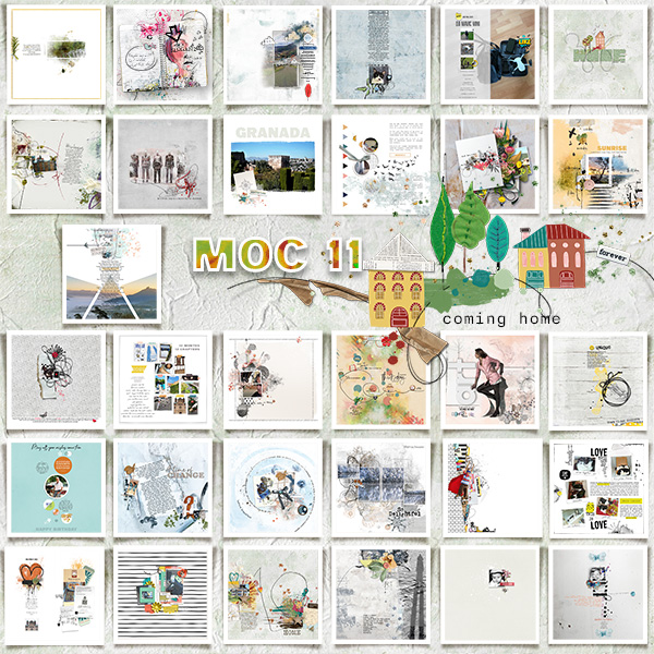 ***MOC11.2023***