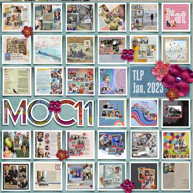 MOC11 2023