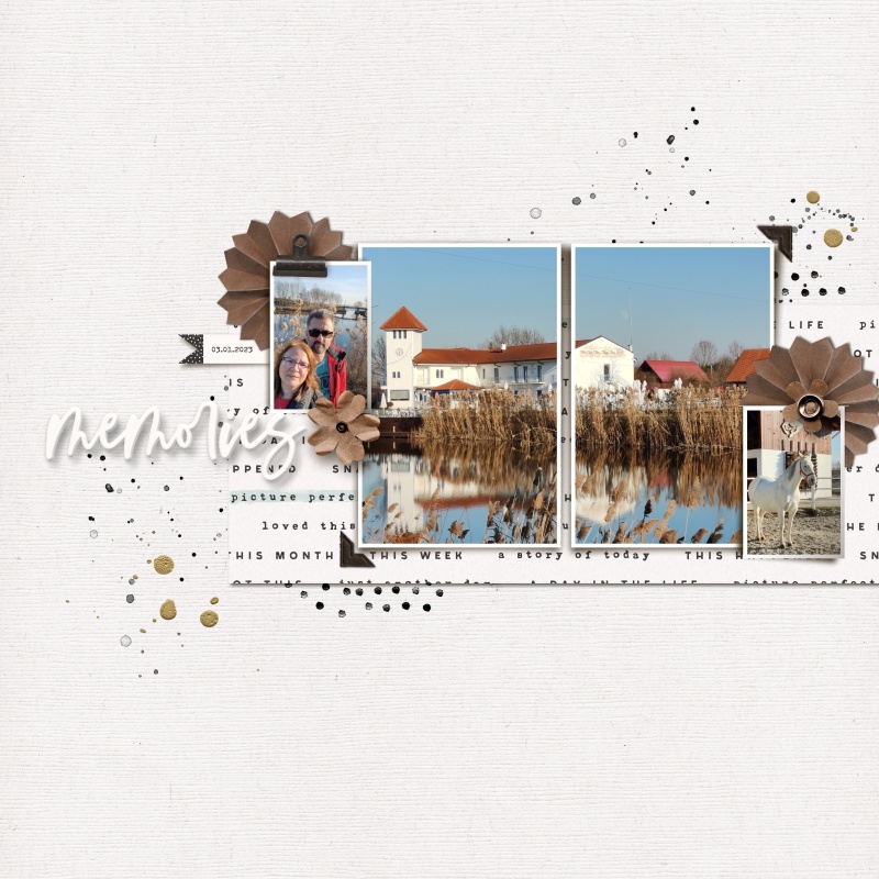 MOC11_January23_Filled Template - Memories