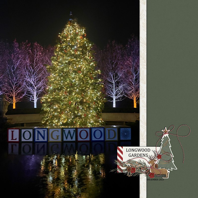 MOC12-9 (Big Photo)