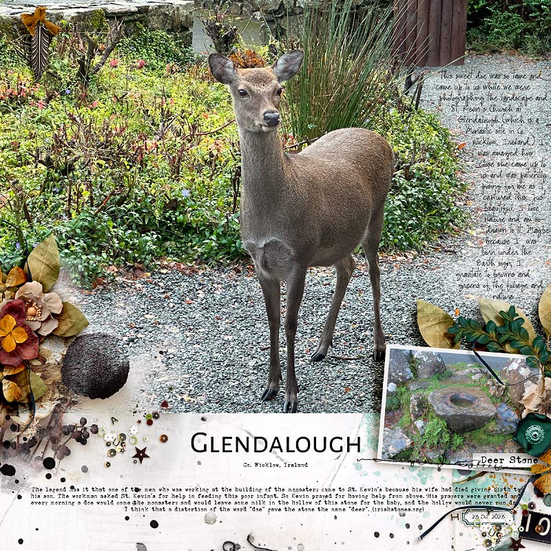 MOC12 Day 1 - Elements - Earth (Glendalough)