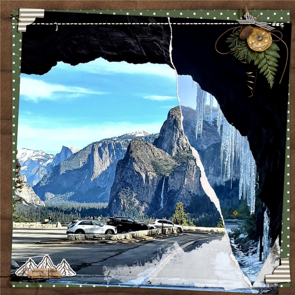 MOC12_D05_ Torn Photos