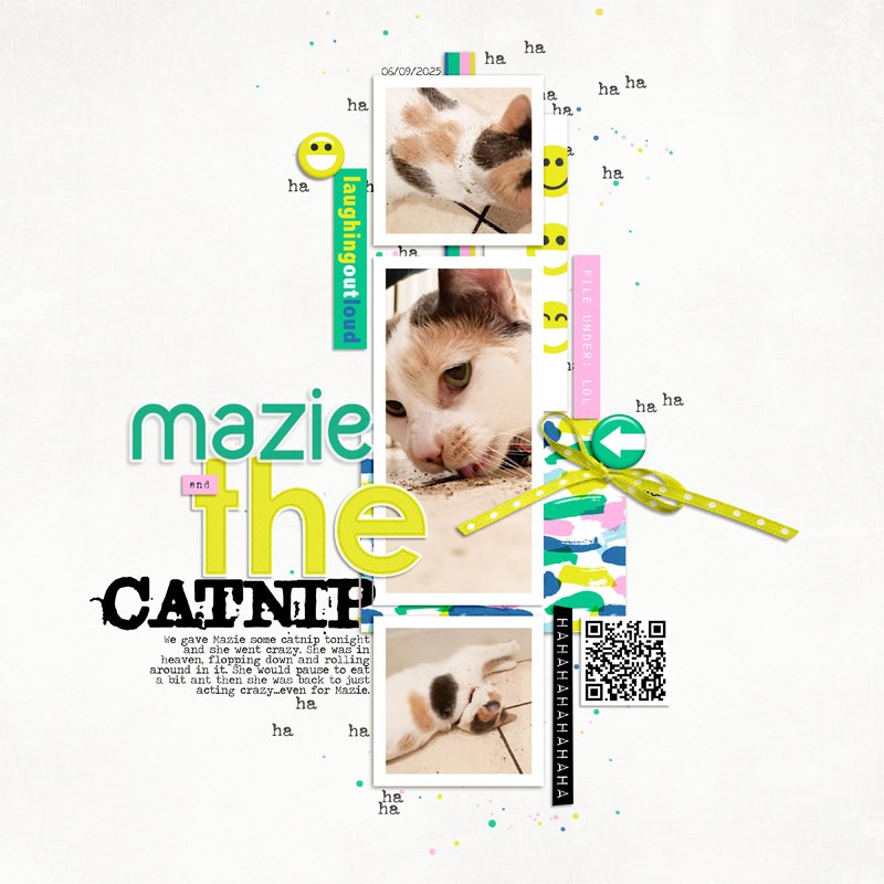 MOC13 - 09 - Typecast - Mazie and the Catnip