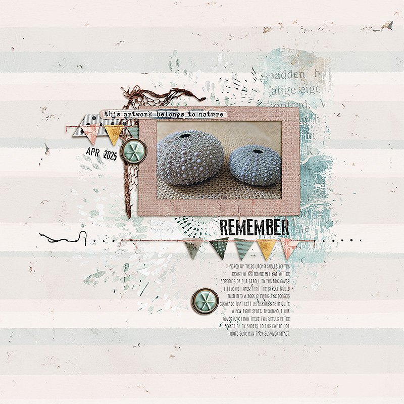 MOC13 20: Remember