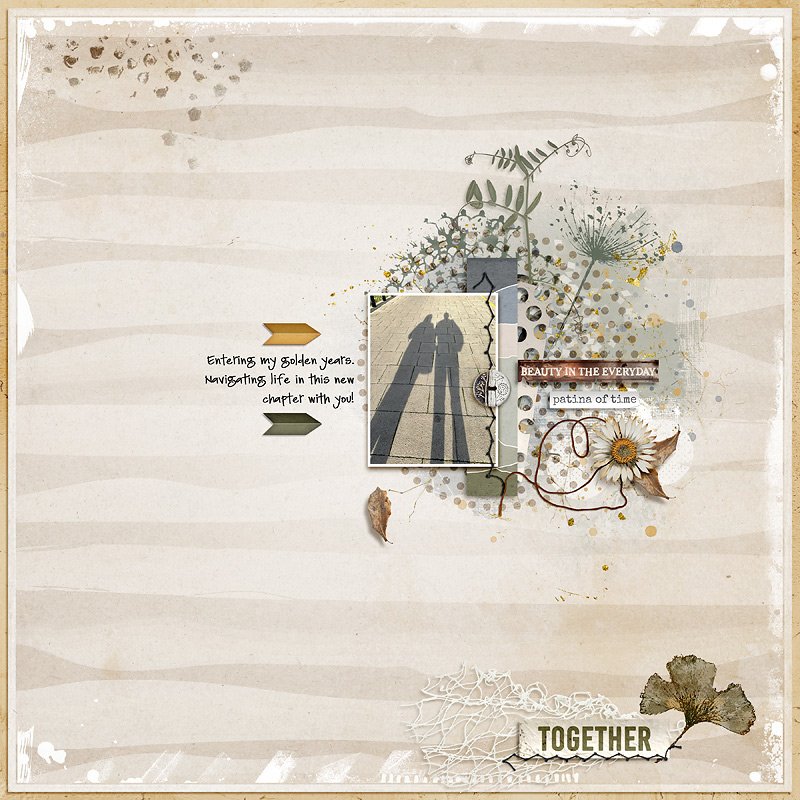 MOC13 January 31: The Next Chapter | Together