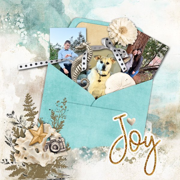 MOC13_Jan08_JoyEnvelope_janisn.jpg