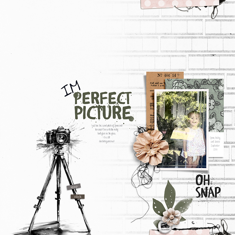 MOC2013 | Jan-6 | Imperfect-Photo