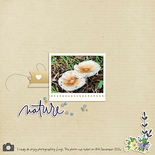 MOC2013_Day24_Embellish a Quick Page_Fungi