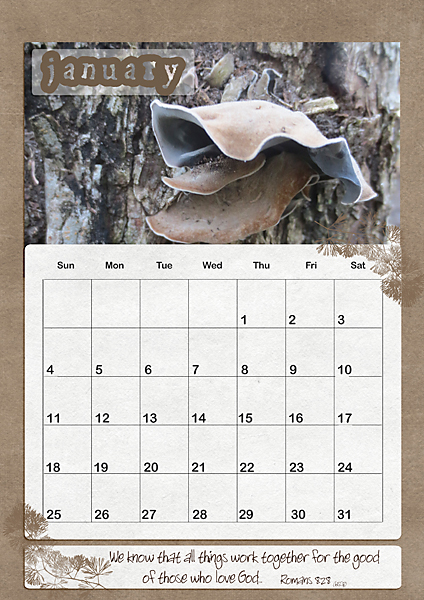 MOC2013_Day4_Realistic Stamping_January 2026 Calendar page
