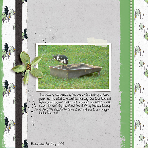 MOC2013_Day6_Imperfect Photo - Bird Bath