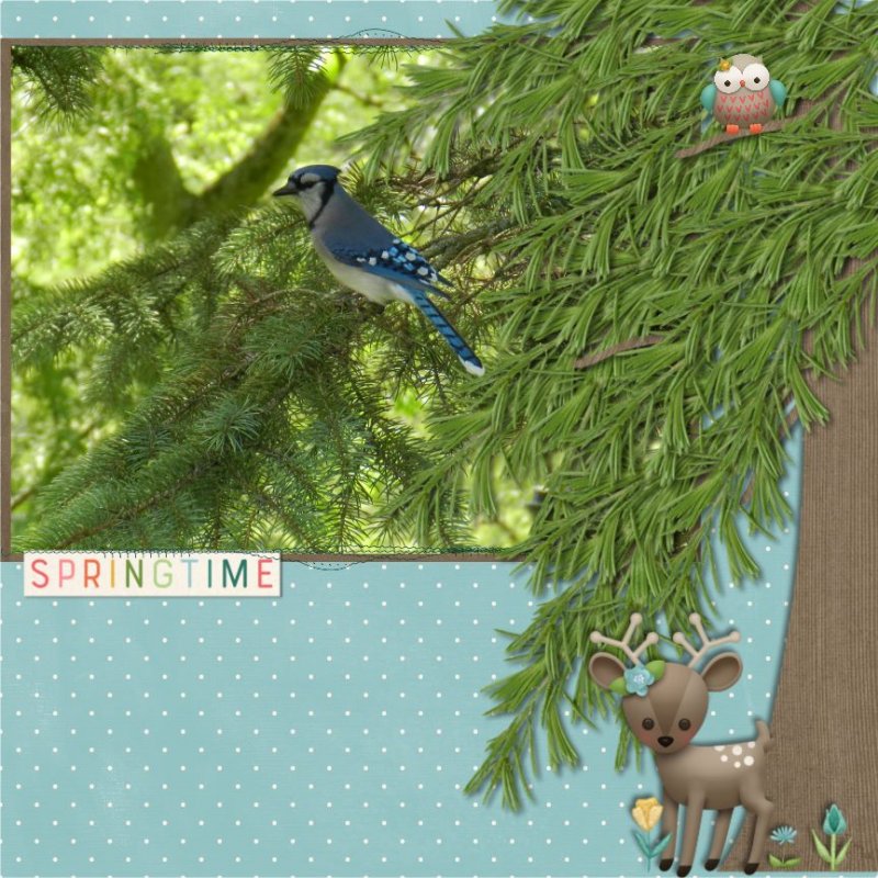 MOC2020-Day8-Build Your Own Tree