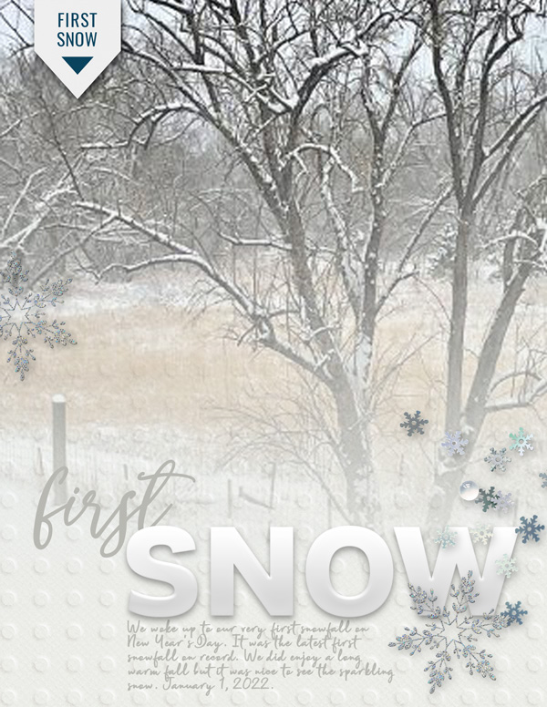 MOC22-day4-First Snow