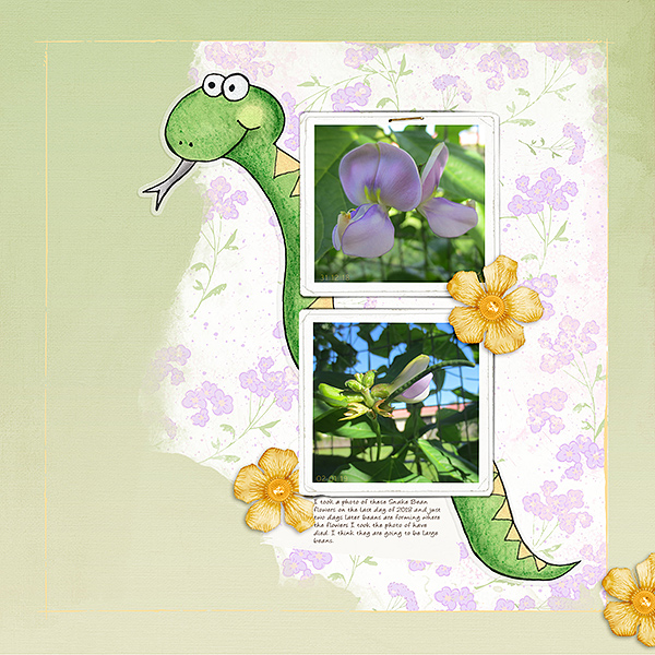 MOC2_Photography_Snake-Beans