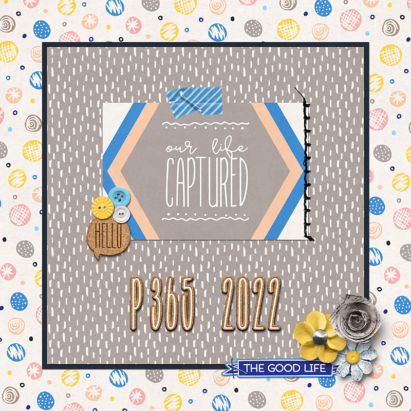 MOC30 - P365 2022 cover