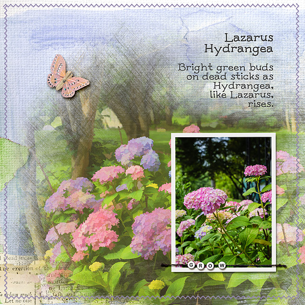 MOC4#16 - Hydrangeas