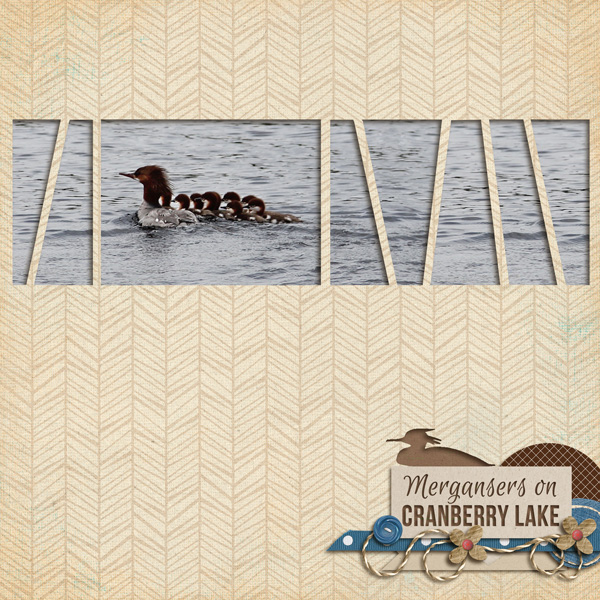 MOC4-27-Mergansers