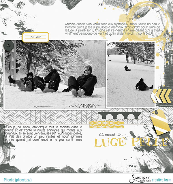 MOC5-Day#12--20170115-course En Luge Pelle CT