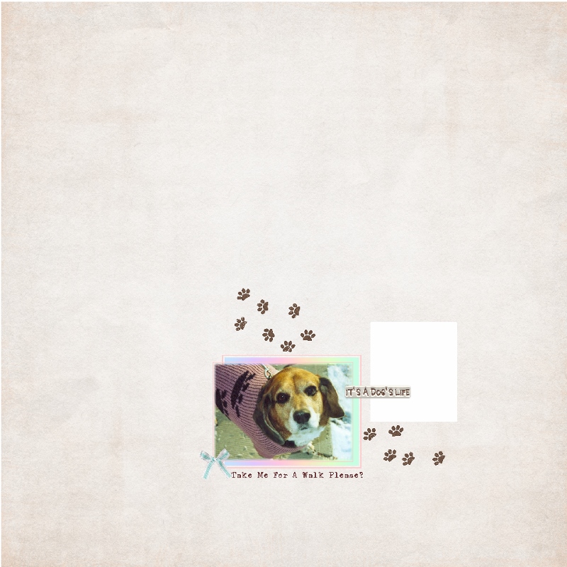 MOC5-Day#9-Clean And Simple-Style Challenge-It's A Dog Life