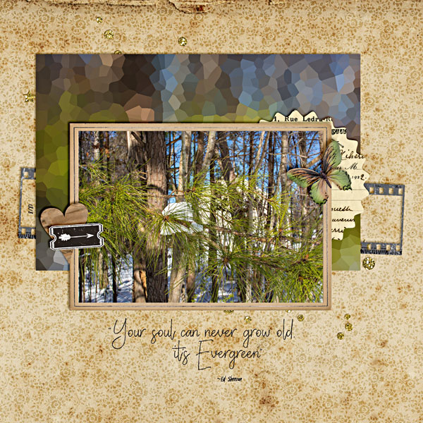MOC6.Day 22.Evergreen