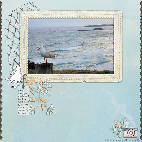 MOC6_16_Photography-Off-Centre-Focus_Seagull