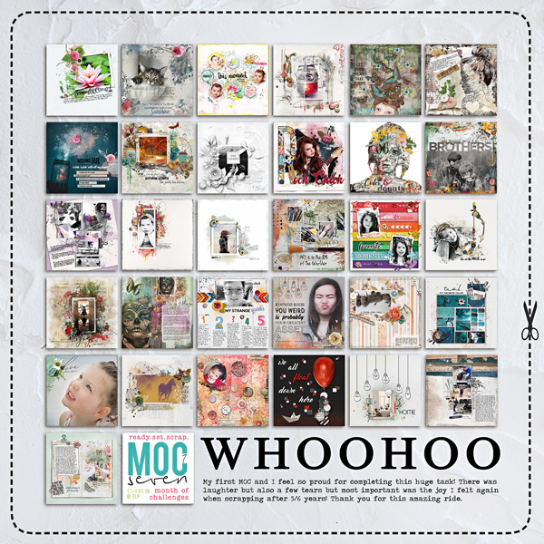 MOC7 2019 Collage
