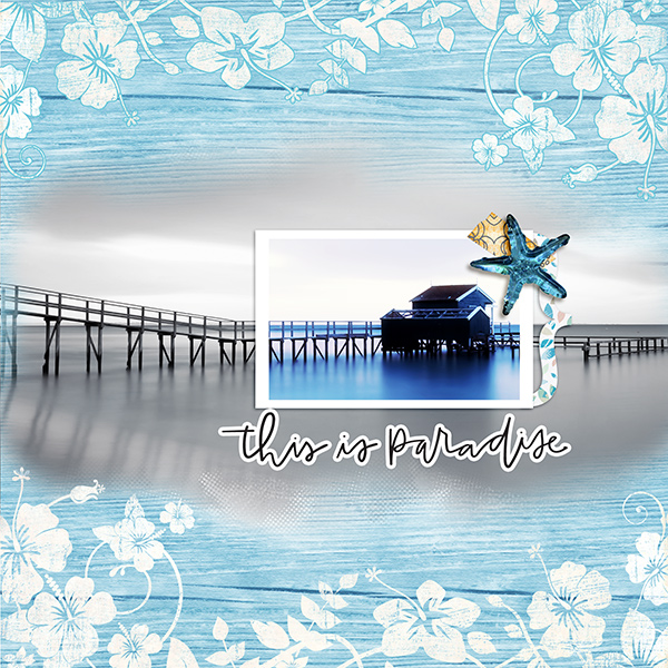 MOC7 #4 Blended Photo