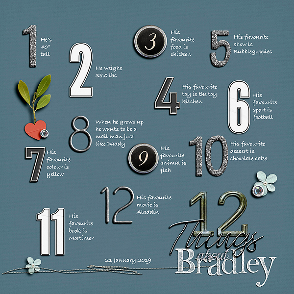 MOC7 Day 21 - 12 Things About Bradley