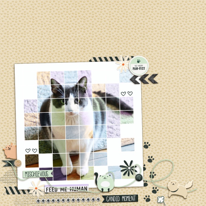 MOC8-5-Pawfect