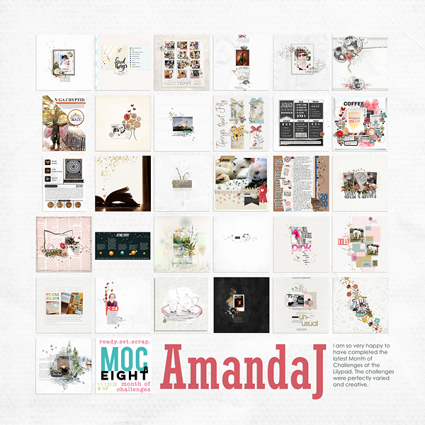 MOC8 AmandaJ Collage
