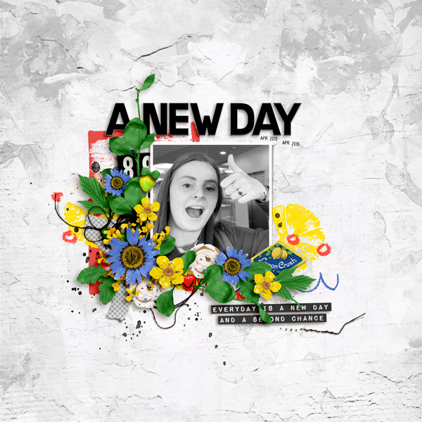MOC8_18 a new day