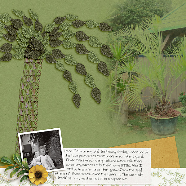 MOC8_Build-Your-Own-Tree_PalmTree