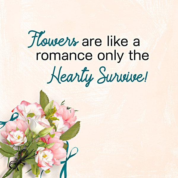 MOC8_Day21_OrganicBotanical_Flowers are like a romance only the Hearty Survive