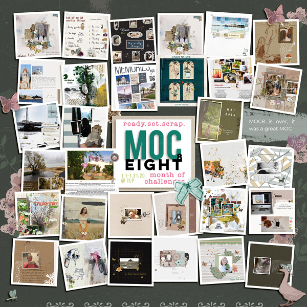 MOC8_My 31 days of challenge